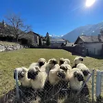 In The Heart Of Wallis